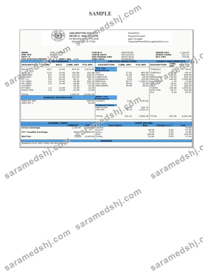 Galveston County Payroll Check Stub